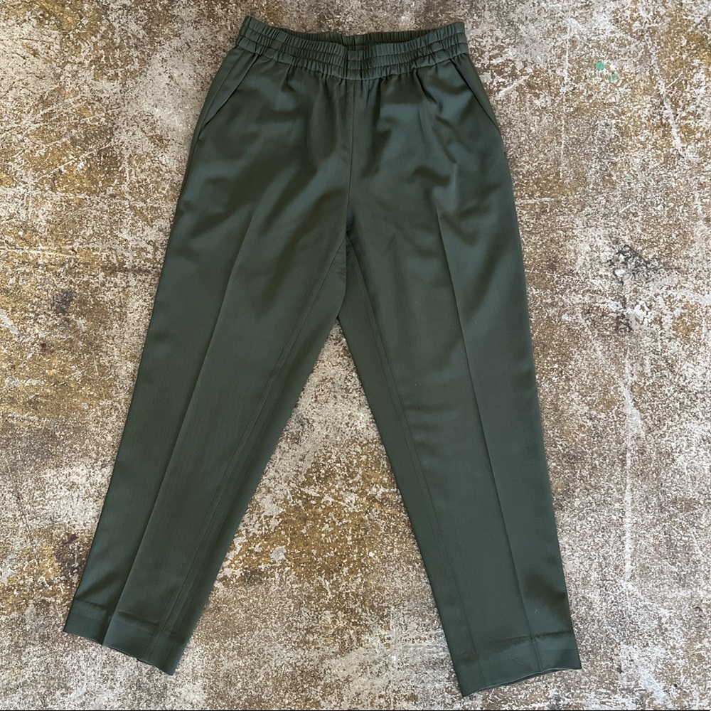 100% Wool Everlane Trousers